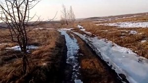 Про осоку и как с ней бороться.