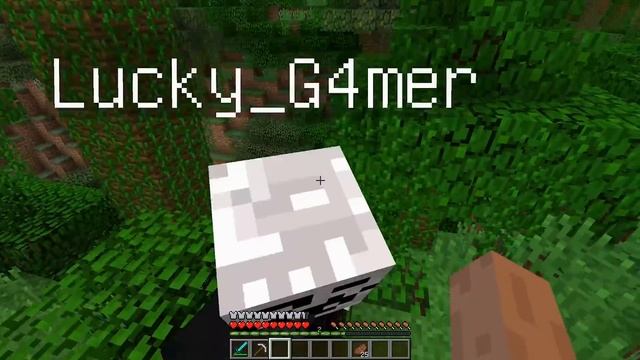 ПРОФЕССИОНАЛ ПОПАЛ В ДЕРЕВНЮ ЧИТЕРОВ В МАЙНКРАФТ ! ПРО И ЧИТЕР НАШЛИ ДРЕВНИЙ ХРАМ В MINECRAFT смотреть онлайн