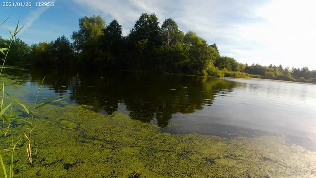 Ловля щуки на всплеск.