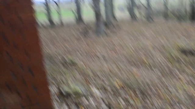 Иследуем кирху 18 века смотреть онлайн