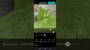 Как убрать фон фотографии в видео редакторе Cap Cut
