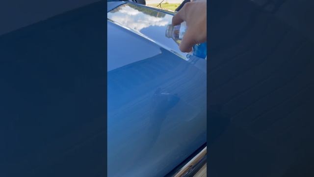 Polymer Sealant + Wax = Perfection. Smooth as GLASS! #lakenorman #mirrorimage #cardetailing смотреть онлайн