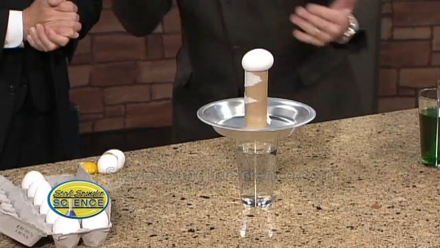 Egg Drop Inertia Challenge - Cool Science Trick смотреть онлайн
