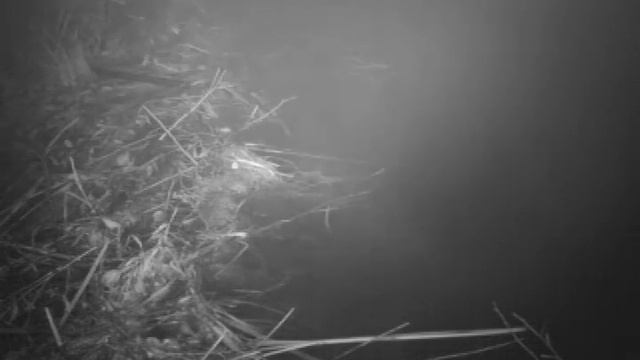 строительство платины 1 смотреть онлайн