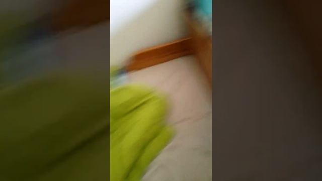 Утро моих любимых крыс смотреть онлайн