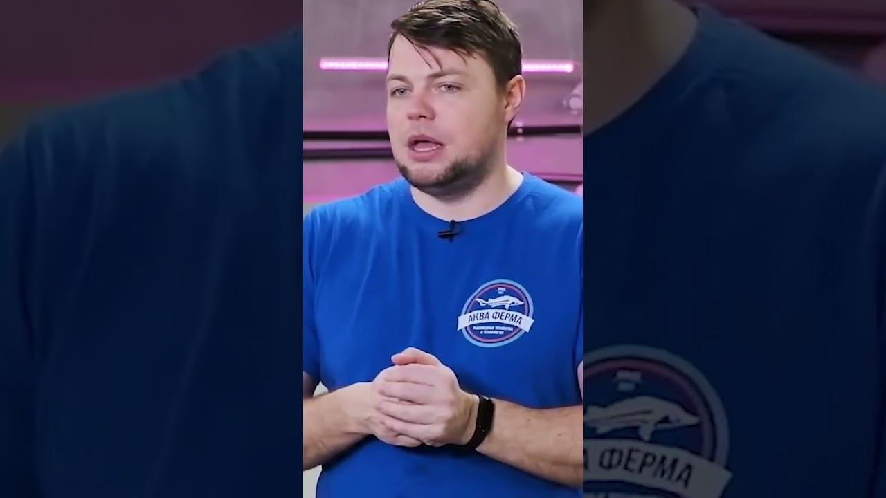 Сколько выращивается Карпа, Форели, Осетра в России? смотреть онлайн