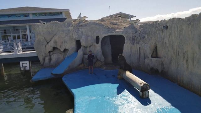 Delfinario Cayo Santa Maria, Cuba 2020.Feb смотреть онлайн