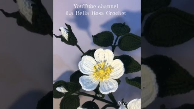 رابط الفيديو في صندوق الوصفCrochet Rosa Canina Flower كروشيه زهرة النسرين