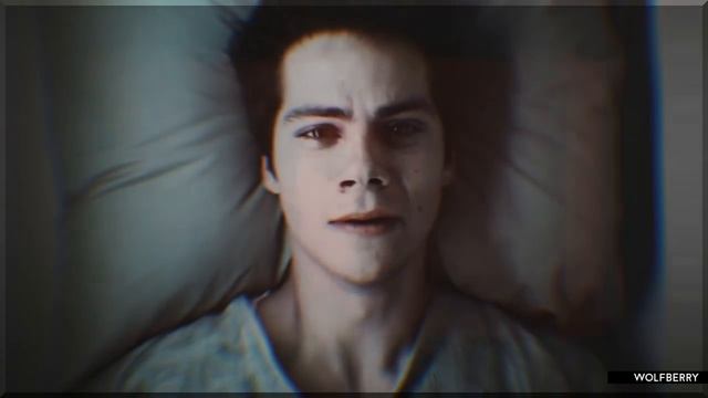 • we are ᴍᴏɴsᴛᴇʀs [for black camomile] смотреть онлайн