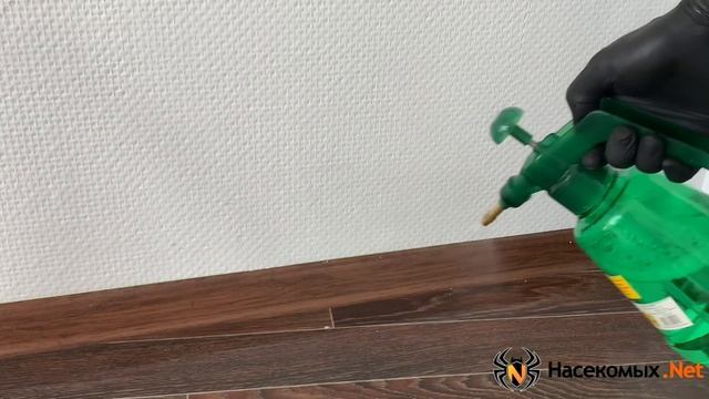 Самые эффективные средства от постельных клопов