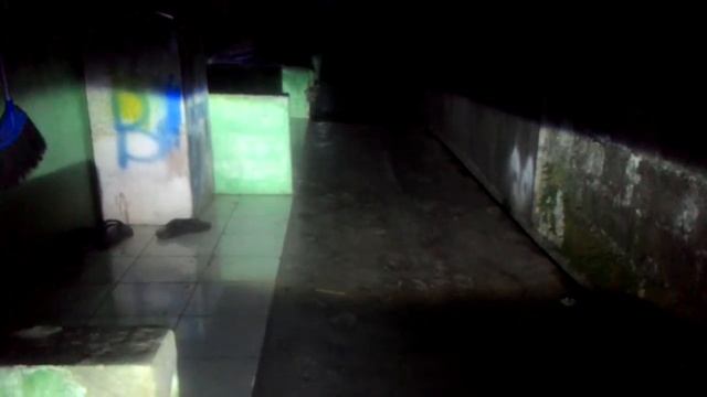 Start Up Ballast Panasonic D2 + Bulb Philips D2S смотреть онлайн