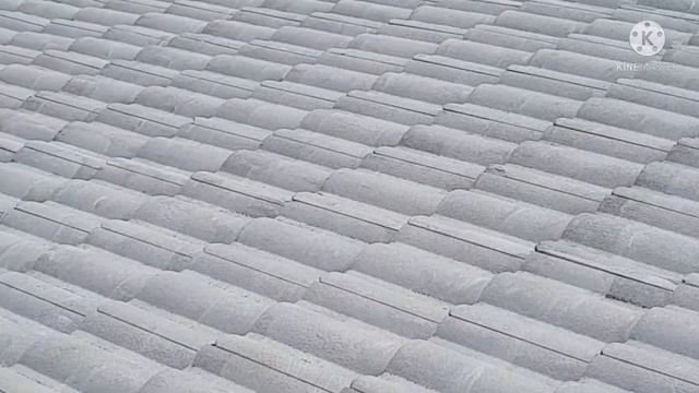 Cara Mudah Mengecat Genteng#solusi#tutorial