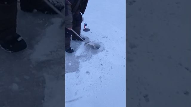 поимка смотреть онлайн