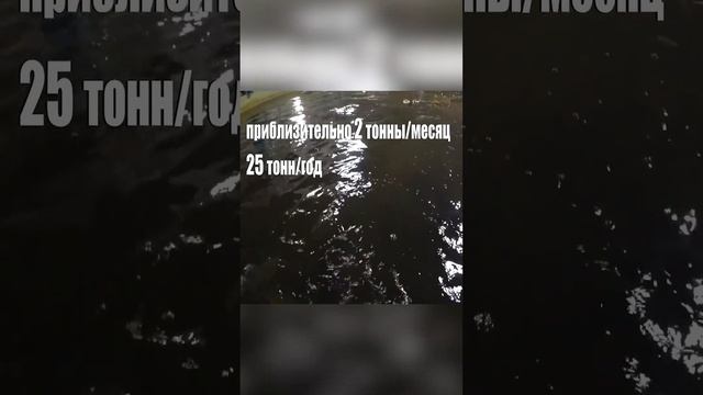 Обзор цифр рентабельности сомовьей фермы! смотреть онлайн