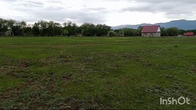 WhatsApp Video 2024-12-16 At 17.16.58