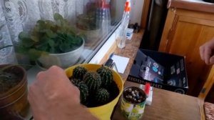 ЖЕСТЬ ДО СЛЁЗ!!! Инквизиция над мухой