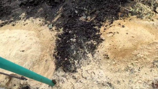 Что делать в саду весной?  "Сад и огород для ленивых"