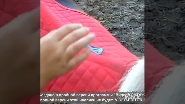 ВЛОГ : Наташа и Пупусичка смотреть онлайн