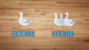 Irregular plurals in English