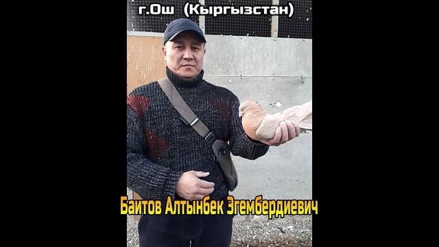 2. Второй фильм Андижанские (узкочубые)