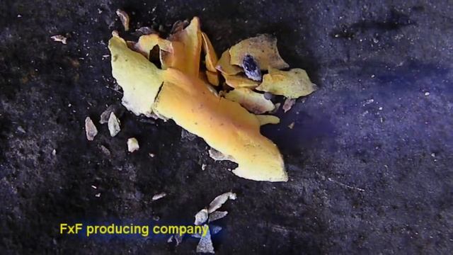термопигмент смотреть онлайн