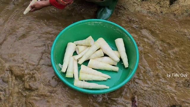 Single Woman Picks Bamboo Shoots To Sell And Picks Up Orphan Boy After School. Ly Tieu Quy