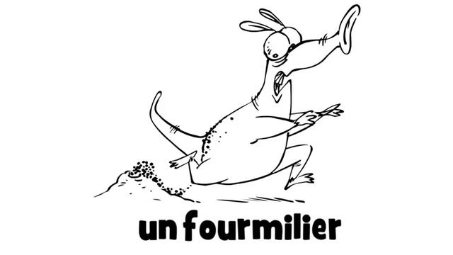 французские первые фразы # un fourmilier смотреть онлайн