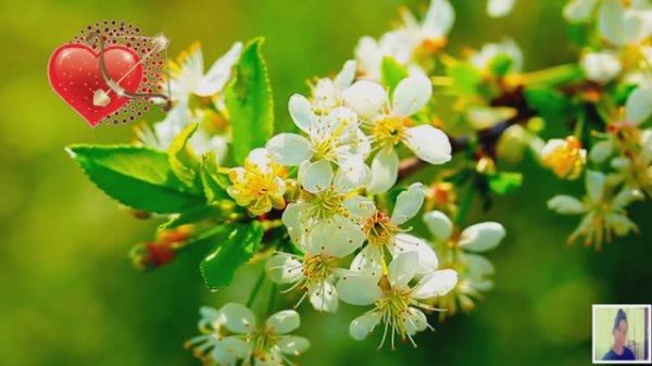 Romantic Relaxing Music-A Collection of Beautiful Touching Melodies For The Soul.