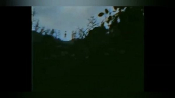 Сиреноголовый факты / истории