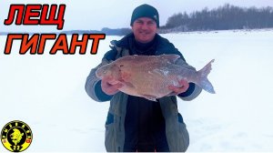 ТРОФЕЙНЫЙ ЛЕЩ! ЗИМНЯЯ РЫБАЛКА НА КОМБАЙНЫ.