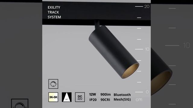 Трековый светильник Maytoni Focus LED TR032-4-12W3K-S-DS-B смотреть онлайн