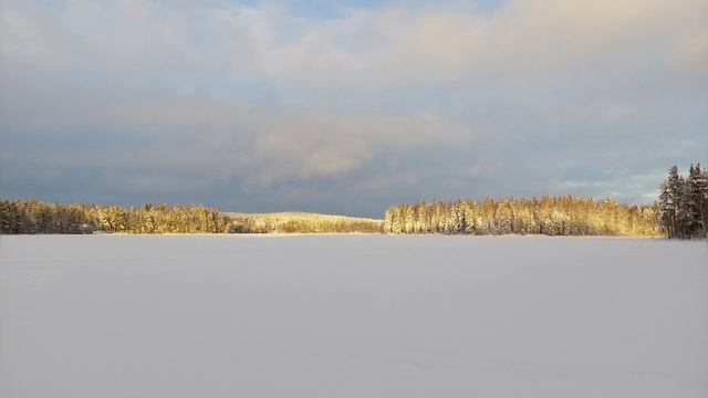 Vivaldi winter largo whistle смотреть онлайн
