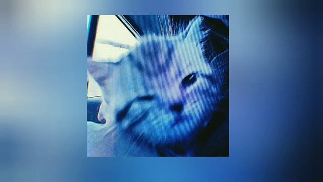 созвездие отрезок Тошнота