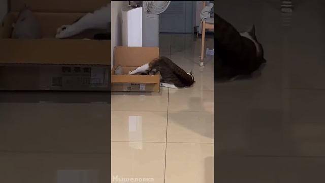 когда надо на работу вставать смотреть онлайн