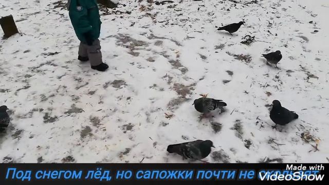 4 прогулка 24.01.2020 смотреть онлайн
