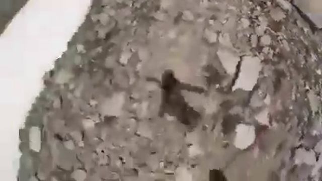 Я на лыжах!!! смотреть онлайн