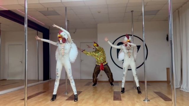 Two The Chikens And The Cock Dance To The Music. 2024