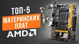 Лучшие бюджетные материнские платы AMD. Рейтинг недорогих материнок в 2025 году!