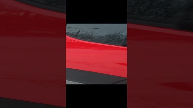 20 год реф.mp4