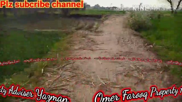 2.5 Acer Land For Sale in chak 58 Db Yazman district Bahawalpur##03034390157 смотреть онлайн