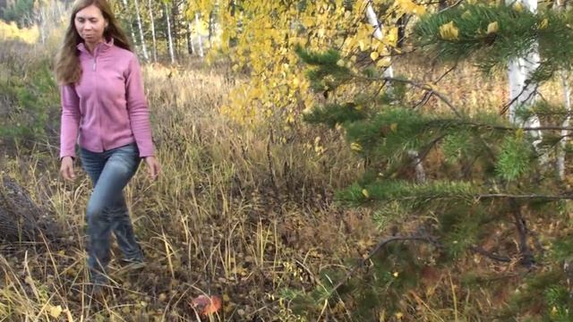 Зилаир осень смотреть онлайн