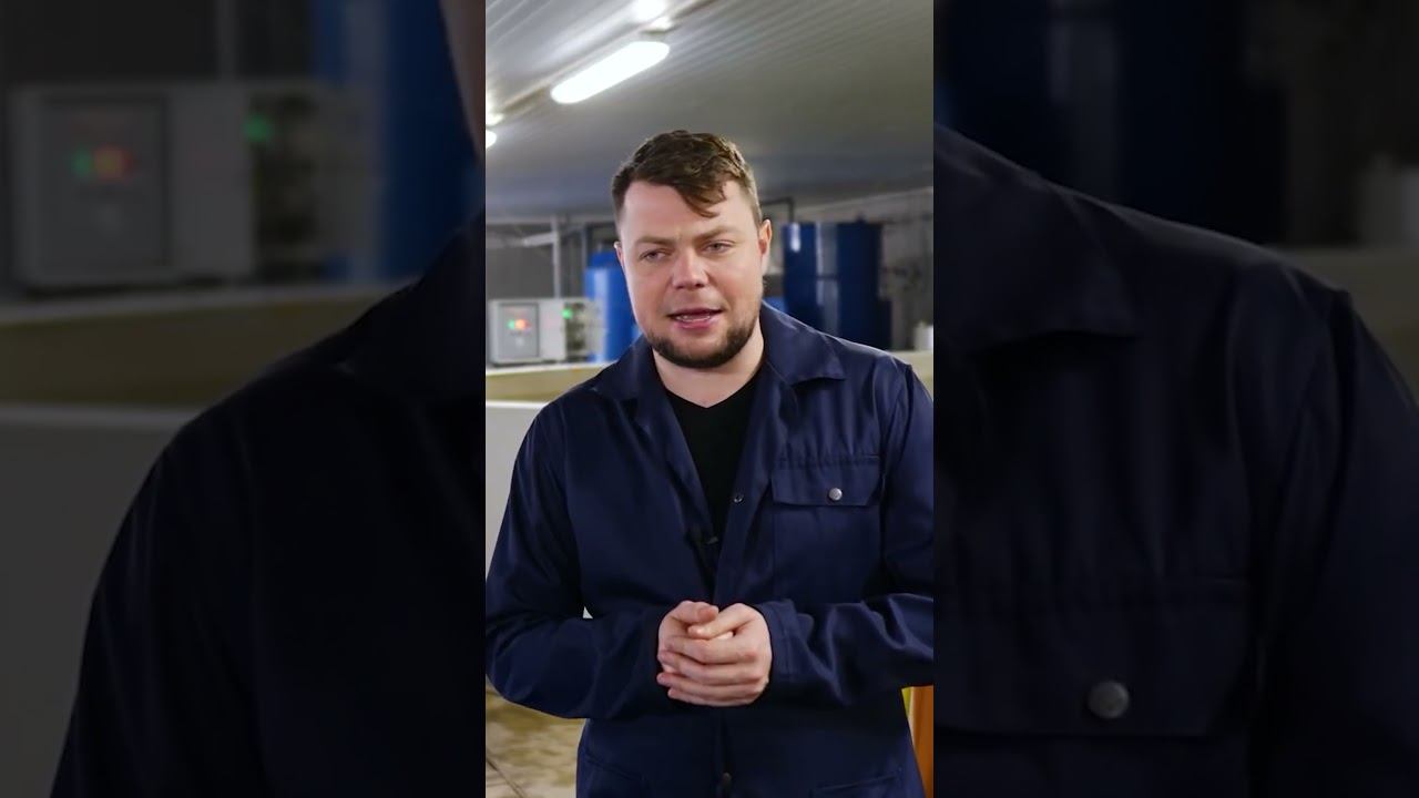 Налим - удивительная рыба смотреть онлайн