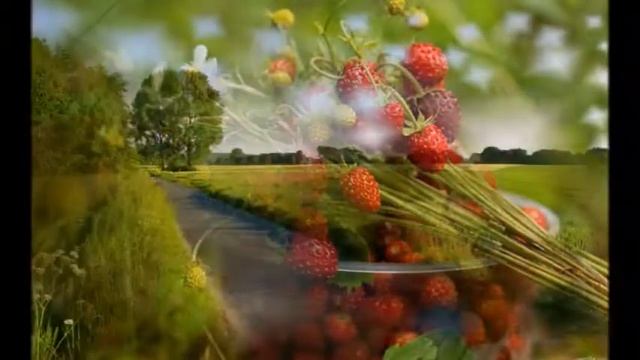 8.Goodbye, summer-Hello,fall! (2016) смотреть онлайн
