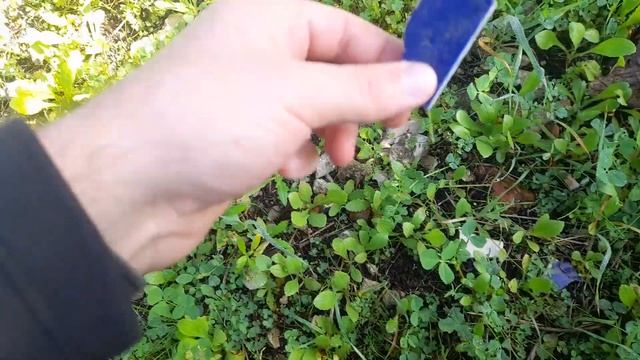 Удивительный арт (в заброшенном парке) смотреть онлайн