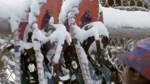 Жизнь с волками
2005