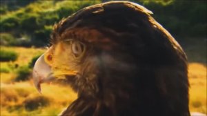 Mei Lan Ali lshg Epic Emotional Music--- Эпическая Эмоциональная Музыка---