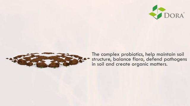 Dora Aminolex - Excellent Blend of Amino acids and PGPRs смотреть онлайн