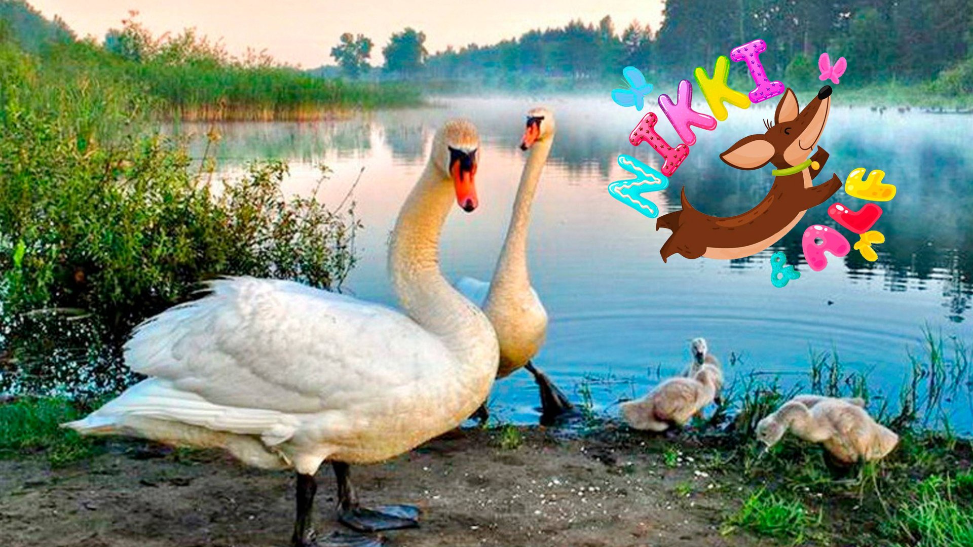 Лебеди смотреть онлайн