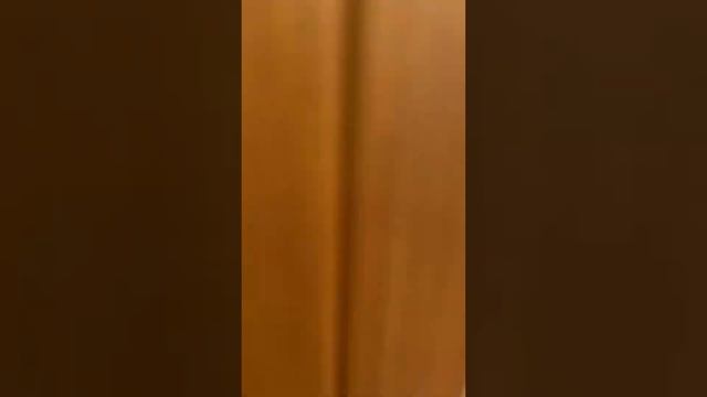 Продаётся😀. Двушка,Питер,84 квадрата,новая,меблированная,великолепное место,Беринга 23/2. 10-й эт смотреть онлайн