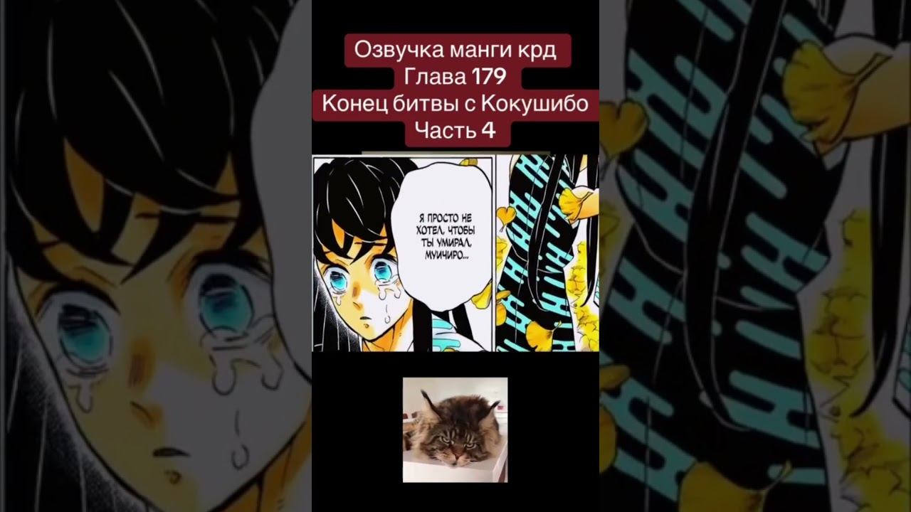 #anime #клинок #memes #крд #demonslayer #kimetsunoyaibaepicmoments #zenitsu смотреть онлайн